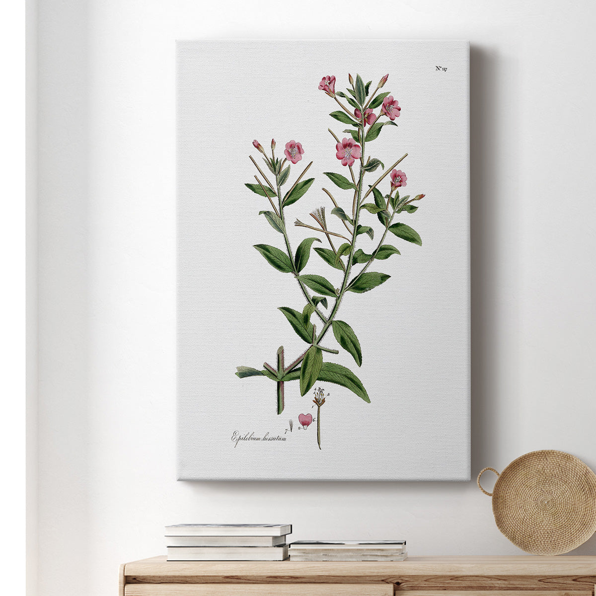 Rose Botanical III Premium Gallery Wrapped Canvas - Ready to Hang