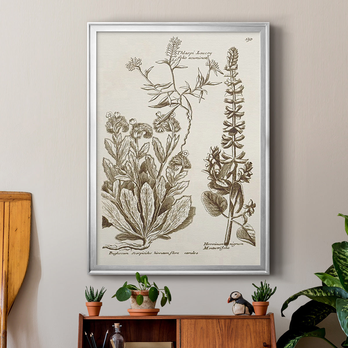 Sepia Botanical Journal IV Premium Framed Print - Ready to Hang