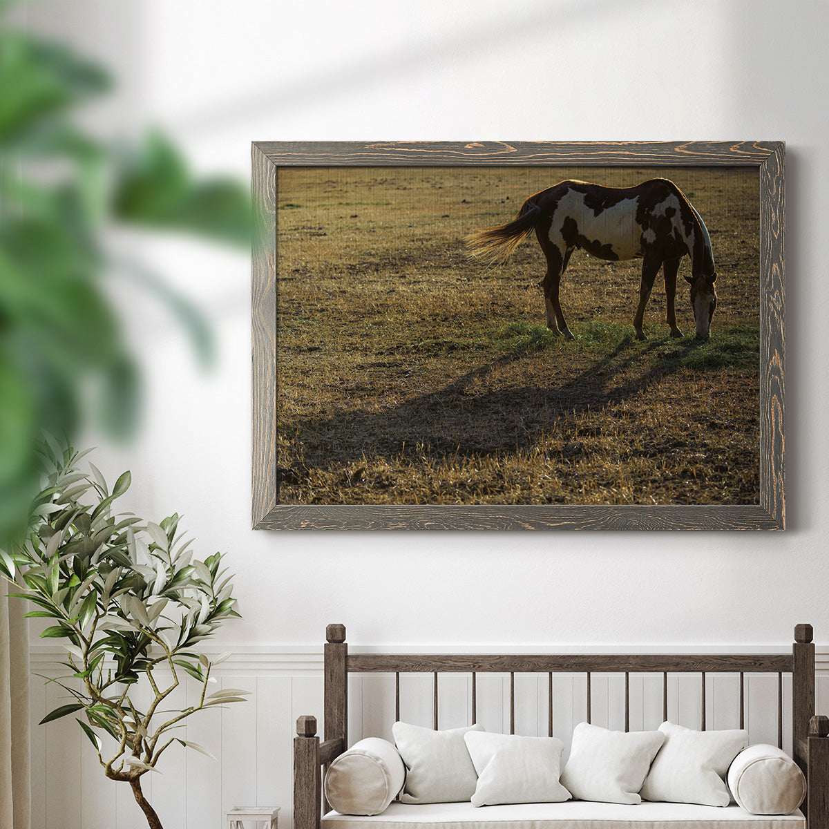 Long Shadow-Premium Framed Canvas - Ready to Hang
