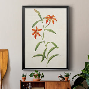Flowers of the Seasons III Premium Framed Print - Ready to Hang