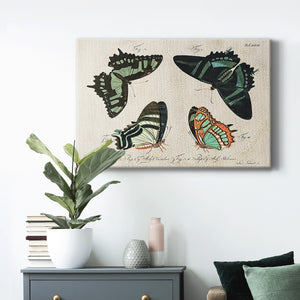 Crackled Butterflies III Premium Gallery Wrapped Canvas - Ready to Hang