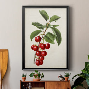 Antique Fruit II Premium Framed Print - Ready to Hang