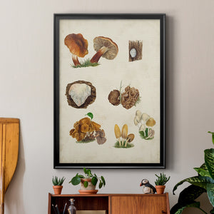 Mushroom Species I Premium Framed Print - Ready to Hang