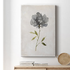 Botanical Beauty I Premium Gallery Wrapped Canvas - Ready to Hang