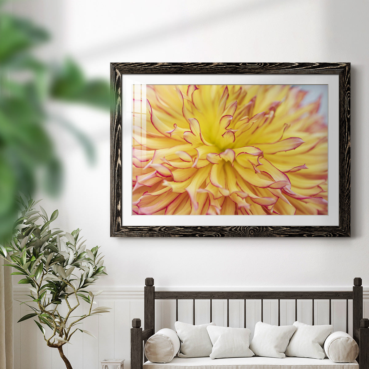 Blooms III-Premium Framed Print - Ready to Hang