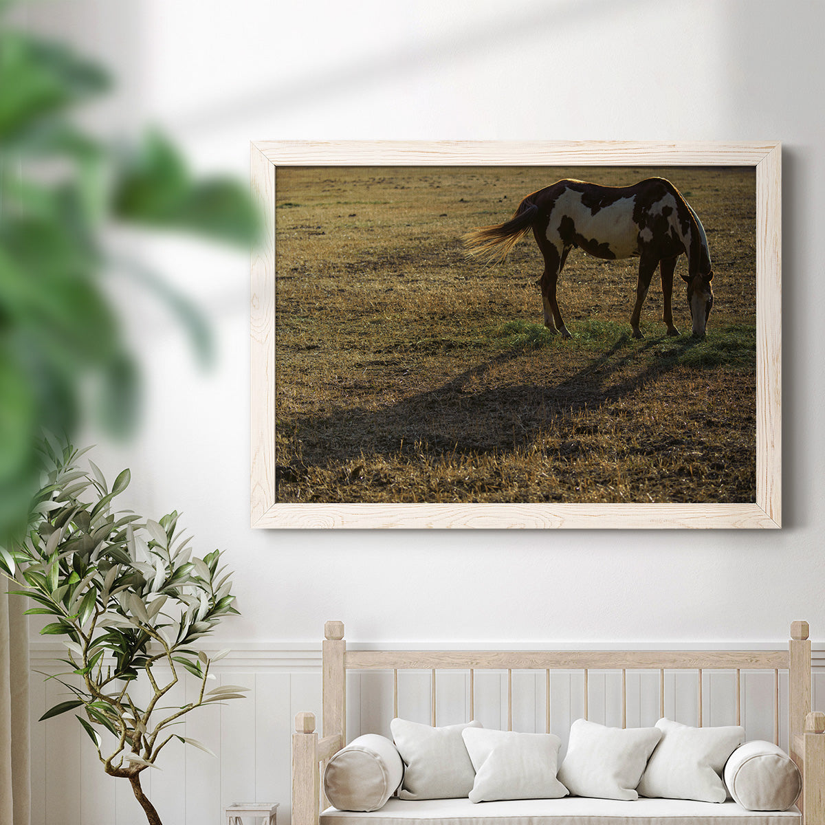 Long Shadow-Premium Framed Canvas - Ready to Hang