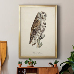 French Owls III Premium Framed Print - Ready to Hang