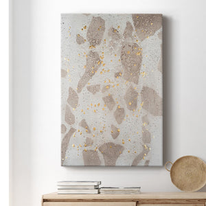Chordata II Premium Gallery Wrapped Canvas - Ready to Hang