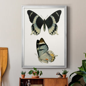 Antique Blue Butterflies I Premium Framed Print - Ready to Hang