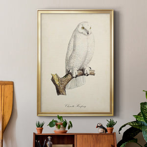 French Owls IV Premium Framed Print - Ready to Hang