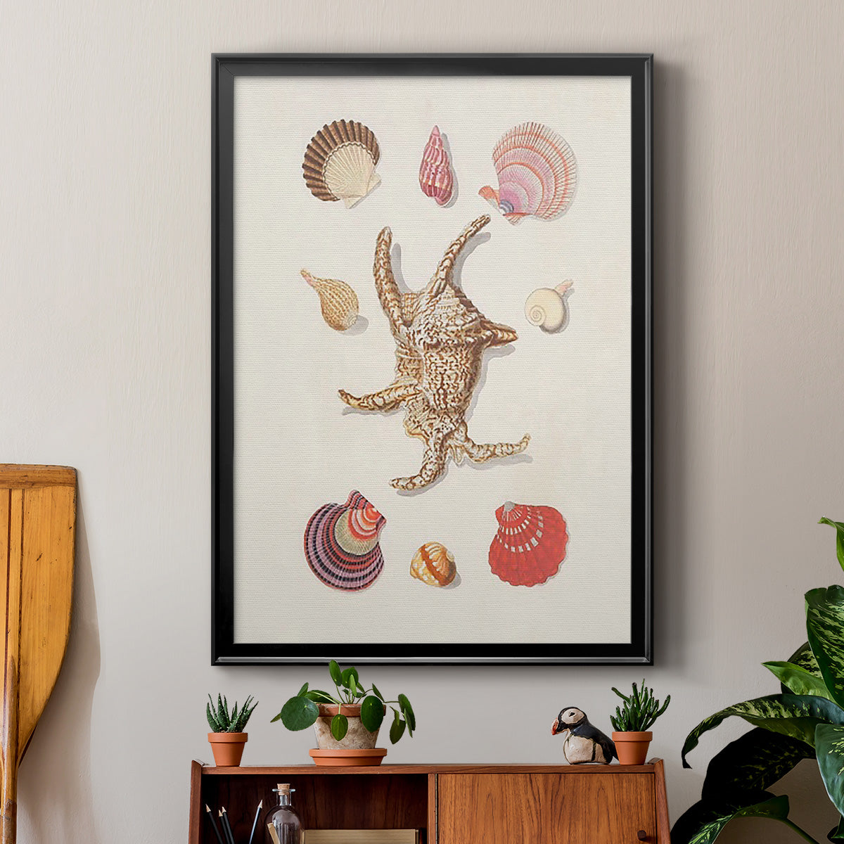 Knorr Shells & Coral II Premium Framed Print - Ready to Hang