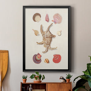 Knorr Shells & Coral II Premium Framed Print - Ready to Hang