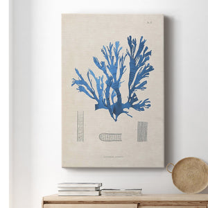 Blue Marine Algae IX Premium Gallery Wrapped Canvas - Ready to Hang