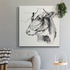 Holstein Portrait Sketch II-Premium Gallery Wrapped Canvas - Ready to Hang