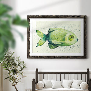 Speckled Freshwater Fish II-Premium Framed Print - Ready to Hang