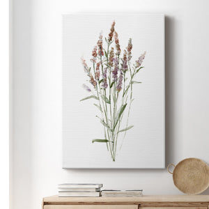 Dainty Botanical III Premium Gallery Wrapped Canvas - Ready to Hang