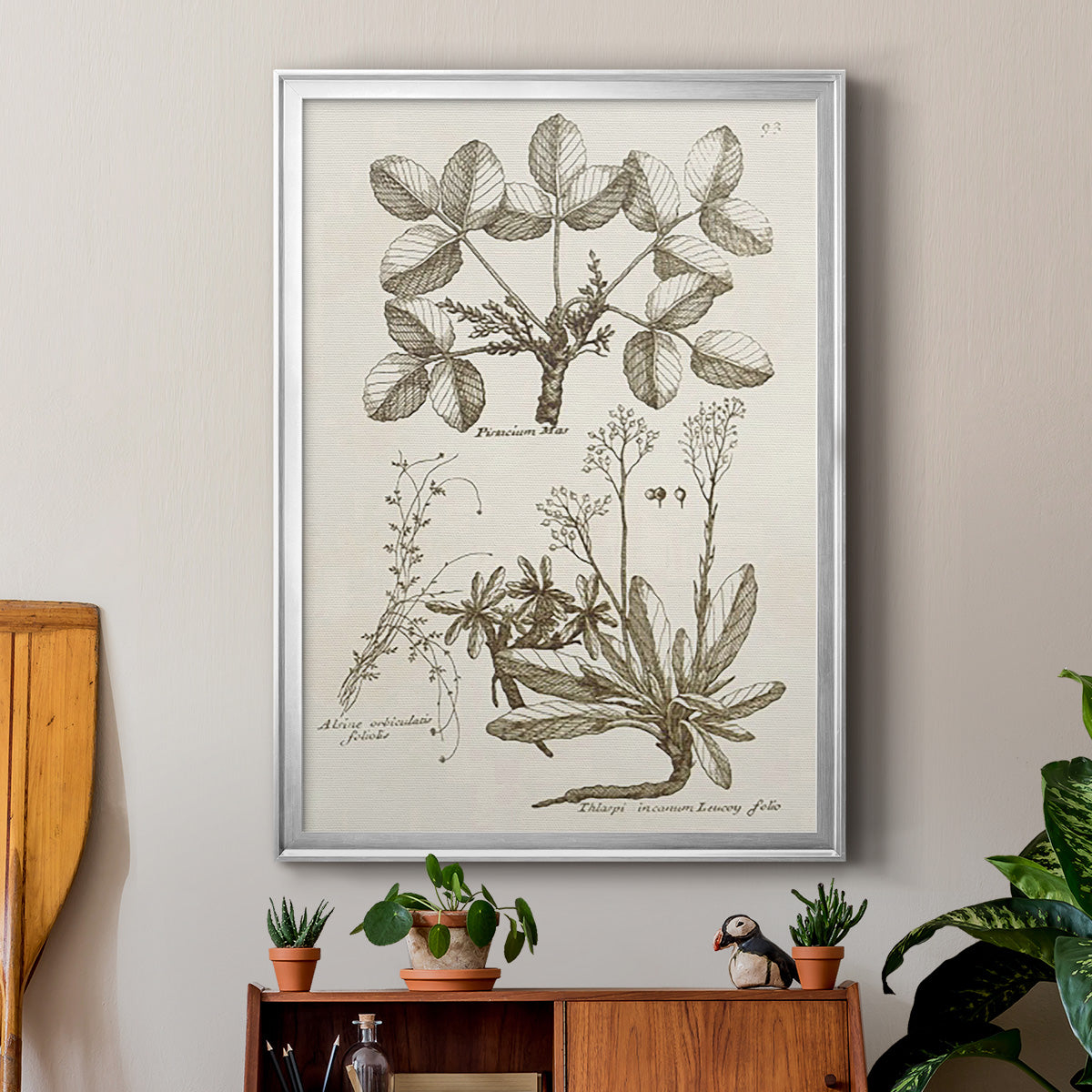 Sepia Botanical Journal VI Premium Framed Print - Ready to Hang