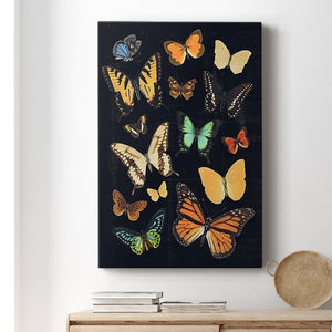Collected Flutter III Premium Gallery Wrapped Canvas - Ready to Hang
