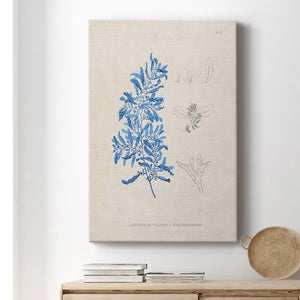 Blue Marine Algae VI Premium Gallery Wrapped Canvas - Ready to Hang