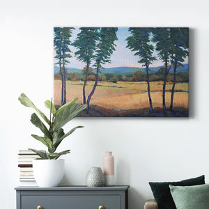 Still Morning II Premium Gallery Wrapped Canvas - Ready to Hang