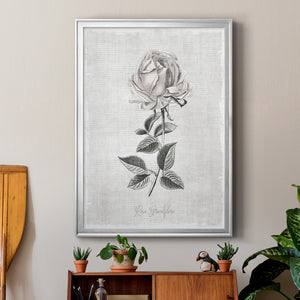 Vintage Botanical II Premium Framed Print - Ready to Hang