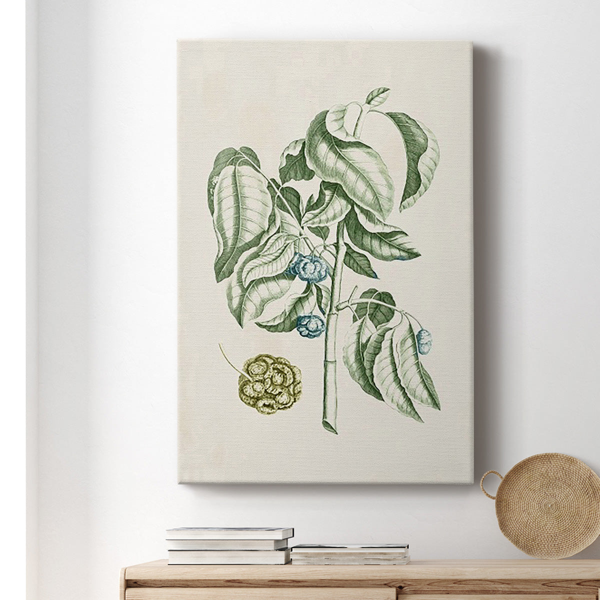 Buchoz Tropicals V Premium Gallery Wrapped Canvas - Ready to Hang