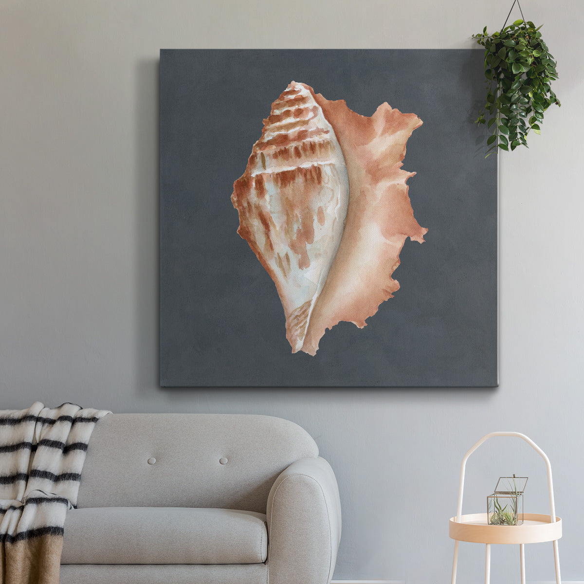 Shell on Slate IX-Premium Gallery Wrapped Canvas - Ready to Hang