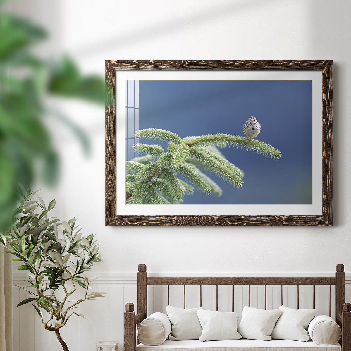 Evergreen Perch-Premium Framed Print - Ready to Hang