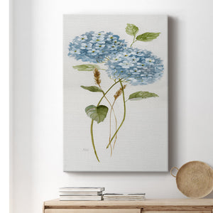 Petite Blue Hydrangea II Premium Gallery Wrapped Canvas - Ready to Hang