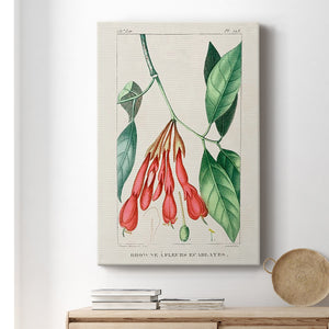 Turpin Tropical Botanicals I Premium Gallery Wrapped Canvas - Ready to Hang