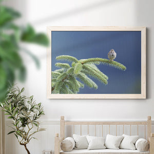 Evergreen Perch-Premium Framed Canvas - Ready to Hang