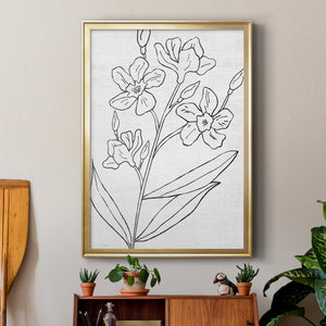 Botanical Sketch I Premium Framed Print - Ready to Hang