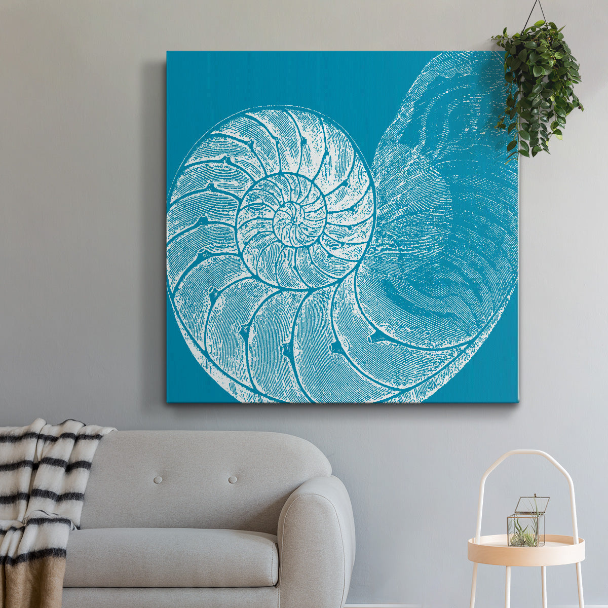 Saturated Shell IV-Premium Gallery Wrapped Canvas - Ready to Hang