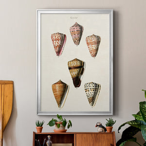 Cone Shell Collection IV Premium Framed Print - Ready to Hang