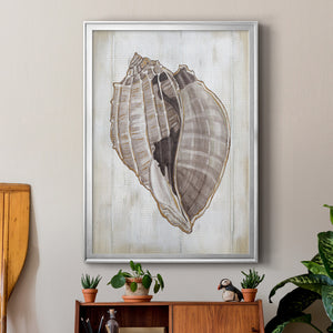 Ocean Cone II Premium Framed Print - Ready to Hang