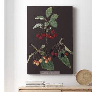Brookshaw Cherries Premium Gallery Wrapped Canvas - Ready to Hang
