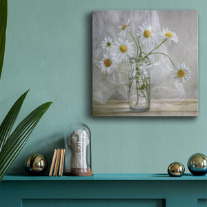 Daisies - Canvas Art Print