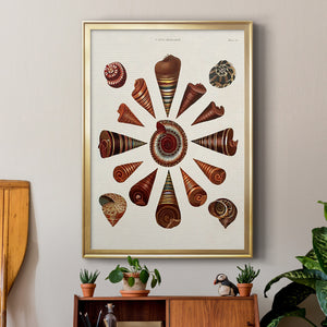 Spiral Shell Formation IV Premium Framed Print - Ready to Hang