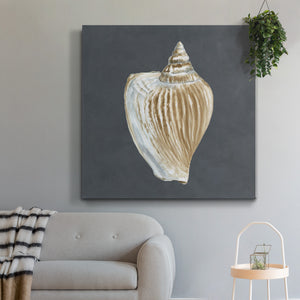 Shell on Slate VI-Premium Gallery Wrapped Canvas - Ready to Hang