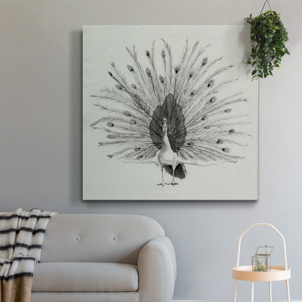 Ebony Plumed Peacock II-Premium Gallery Wrapped Canvas - Ready to Hang