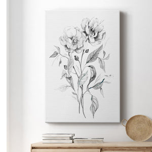 Wild Roses Sketch Premium Gallery Wrapped Canvas - Ready to Hang