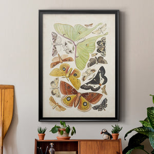 Antique Moths I Premium Framed Print - Ready to Hang