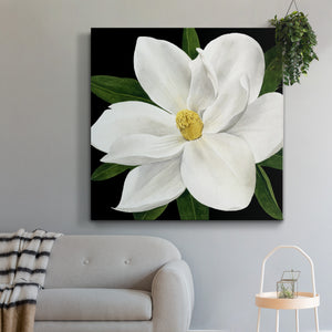 Midnight Magnolia II-Premium Gallery Wrapped Canvas - Ready to Hang