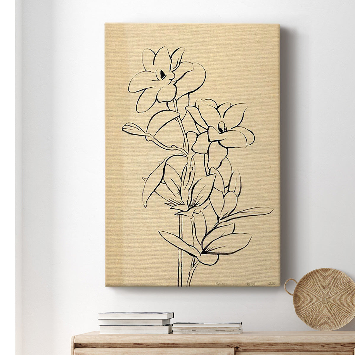 Magnolia Sketch I Premium Gallery Wrapped Canvas - Ready to Hang