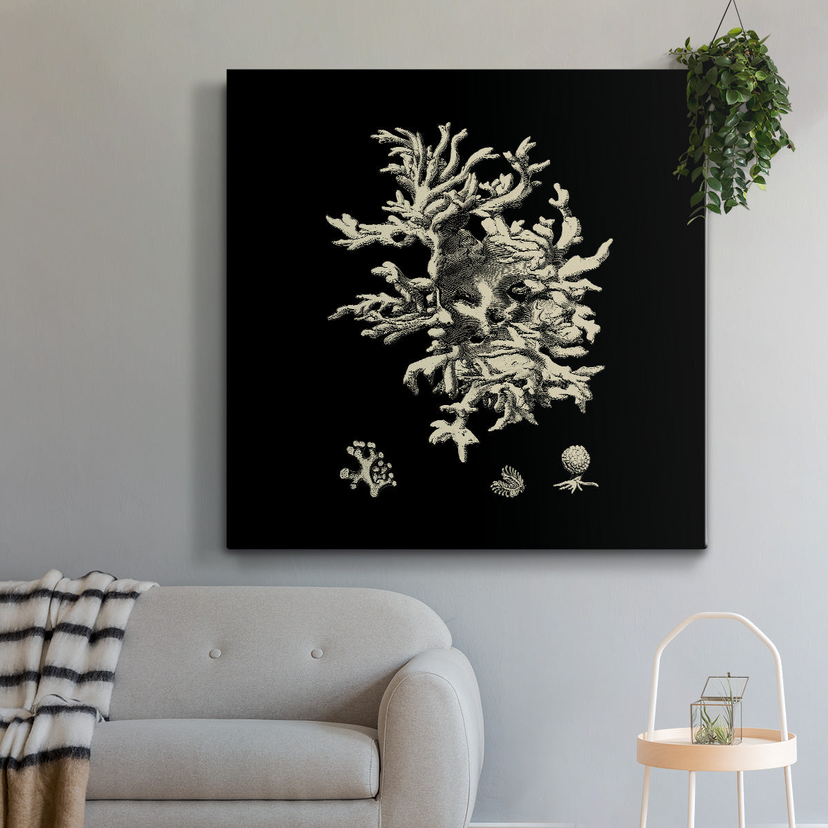 Black and Tan Coral III-Premium Gallery Wrapped Canvas - Ready to Hang