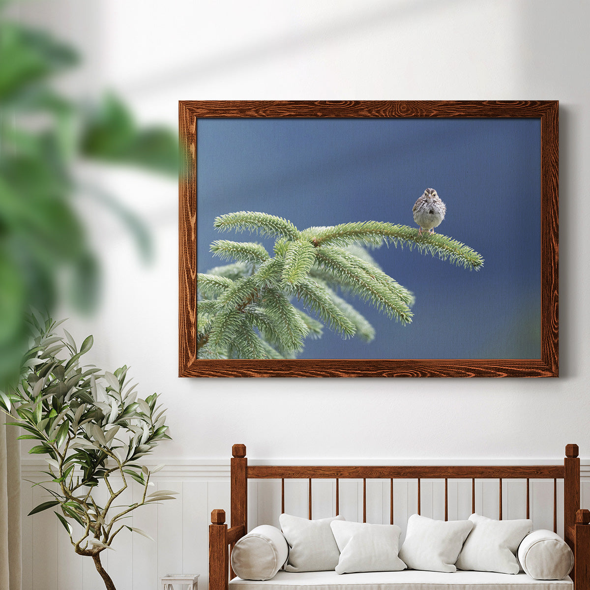 Evergreen Perch-Premium Framed Canvas - Ready to Hang