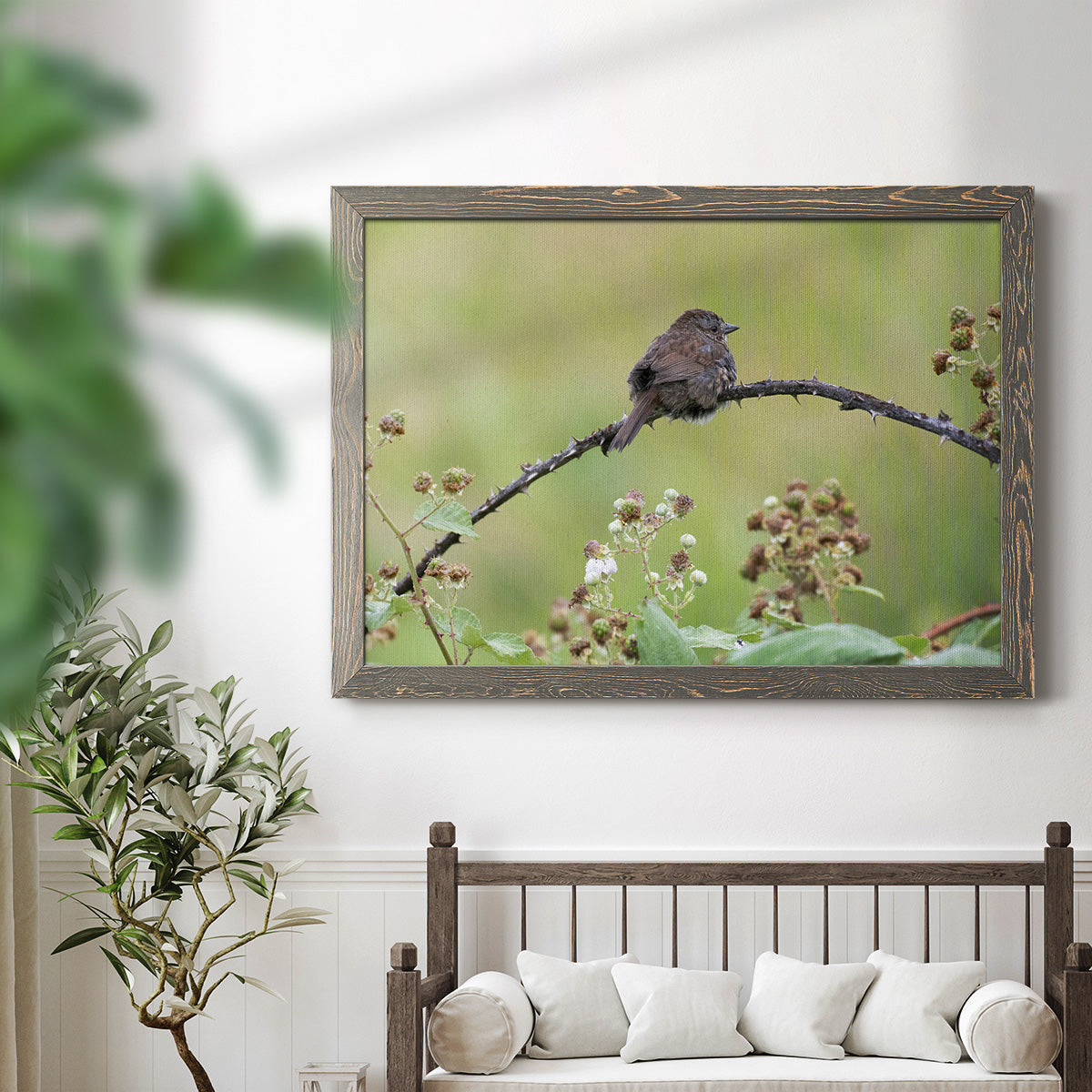 Resting Sparrow-Premium Framed Canvas - Ready to Hang