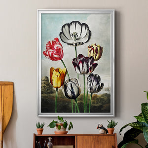 Temple of Flora VI Premium Framed Print - Ready to Hang