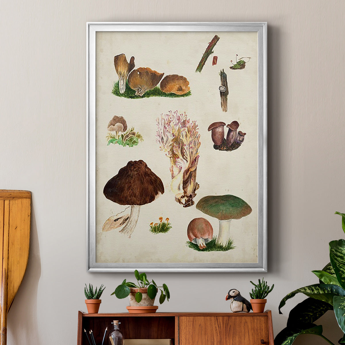 Mushroom Species IX Premium Framed Print - Ready to Hang