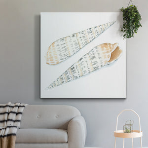 Watercolor Shells IX-Premium Gallery Wrapped Canvas - Ready to Hang